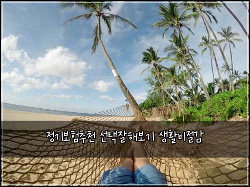 정기보험추천 선택잘해보기 생활비절감