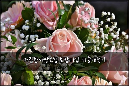 ์ ๋ ดํ์ฌ๋ง๋ณดํ ๋ณด์ฅ๊ฐ์
ํ๋์ ์ ๊ธฐ