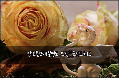 암보험2대질병도 보장 포인트체크