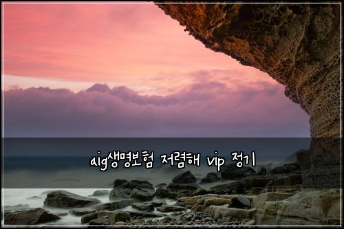 aig생명보험 저렴해  vip 정기