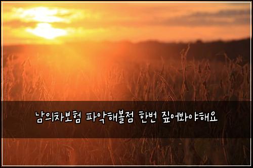남의차보험 파악해볼점  한번 짚어봐야해요