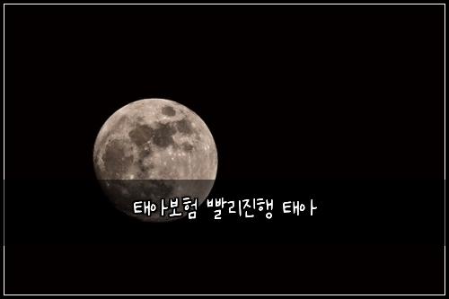 νμ보ν 빨리μ§ν νμ
