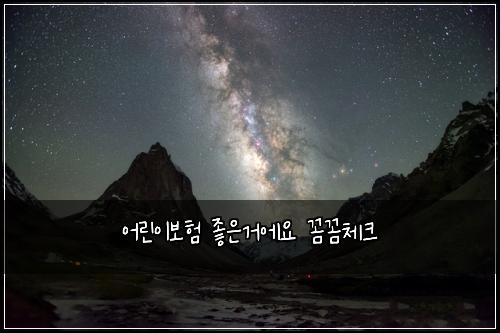 어린이보험 좋은거에요  꼼꼼체크