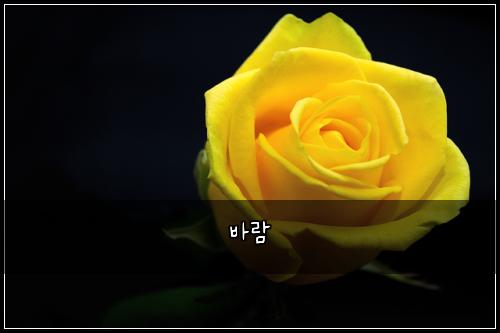 바람