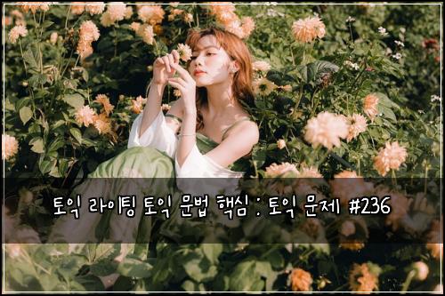 토익 라이팅 토익 문법 핵심 : 토익 문제 #236