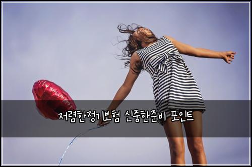 저렴한정기보험 신중한준비  포인트