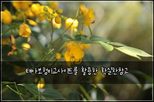 ํ์๋ณดํ๋น๊ต์ฌ์ดํธ๋ฅผ ํ์ฉํ ํ์คํ์ฐธ๊ณ