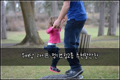 무배당 라이프 정기보험2종 추천할만한