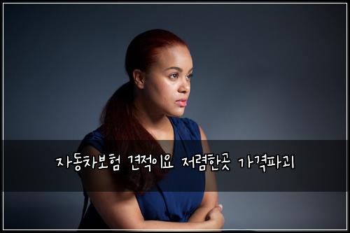 자동차보험 견적이요  저렴한곳 가격파괴