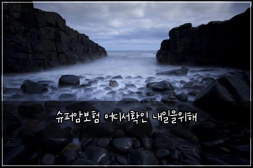 슈퍼암보험 어디서확인  내일을위해