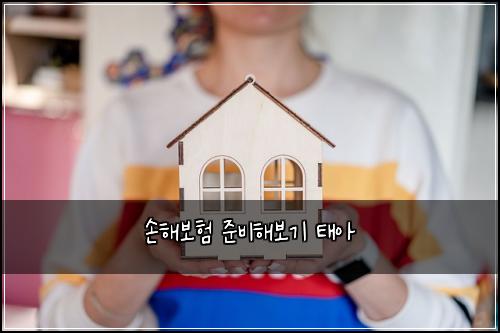 손해보험 준비해보기 태아
