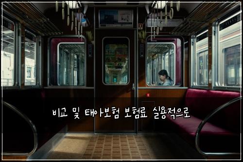 비교 및 태아보험 보험료 실용적으로