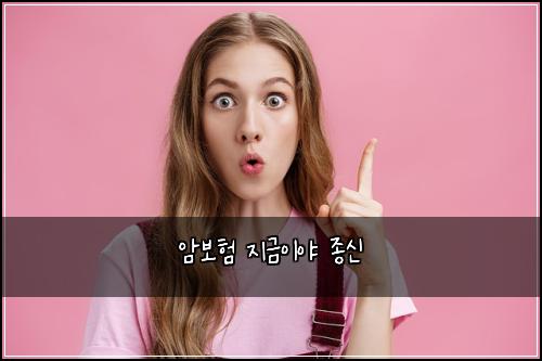 암보험 지금이야  종신