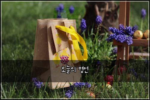 오늘의 명언