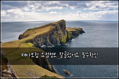 태아보험 요점정보  잘골랐어요 필수확인