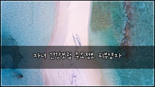 자녀 건강보험 주요정보  피부양자