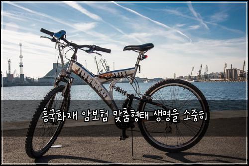 흥국화재 암보험 맞춤형태  생명을 소중히