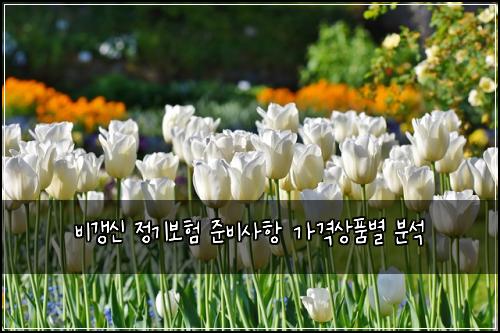 ๋น๊ฐฑ์ ์ ๊ธฐ๋ณดํ ์ค๋น์ฌํญ ๊ฐ๊ฒฉ์ํ๋ณ ๋ถ์