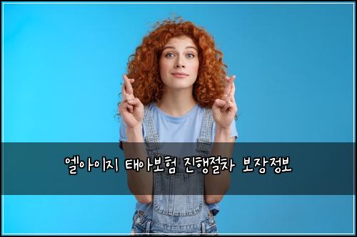 엘아이지 태아보험 진행절차  보장정보