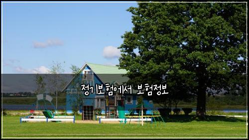 정기보험에서 보험정보