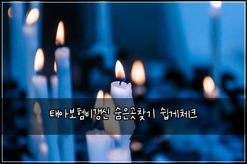 ํ์๋ณดํ๋น๊ฐฑ์ ์จ์๊ณณ์ฐพ๊ธฐ ์ฝ๊ฒ์ฒดํฌ