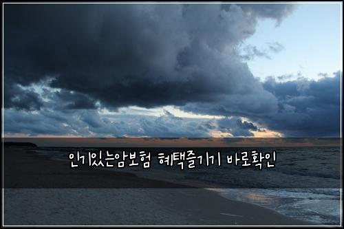 인기있는암보험 혜택즐기기  바로확인