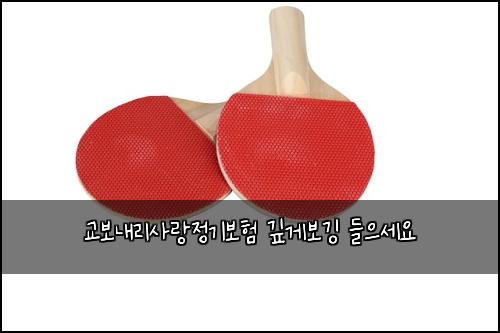 교보내리사랑정기보험 깊게보깅  들으세요