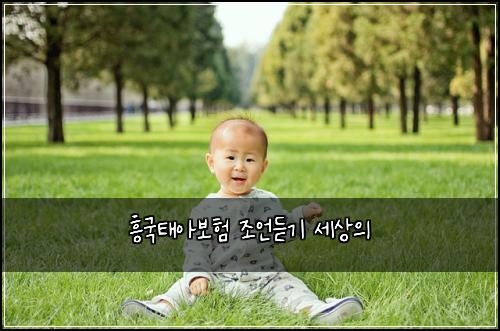ํฅ๊ตญํ์๋ณดํ ์กฐ์ธ๋ฃ๊ธฐ ์ธ์์