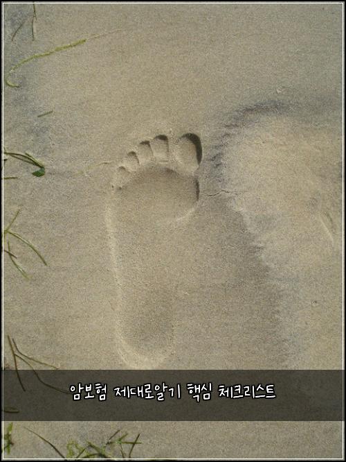 암보험 제대로알기 핵심 체크리스트