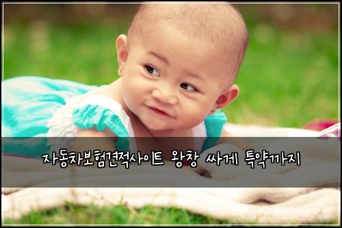 ์๋์ฐจ๋ณดํ๊ฒฌ์ ์ฌ์ดํธ ์์ฐฝ ์ธ๊ฒ ํน์ฝ๊น์ง