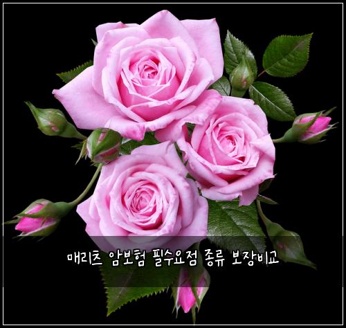 매리츠 암보험 필수요점  종류 보장비교