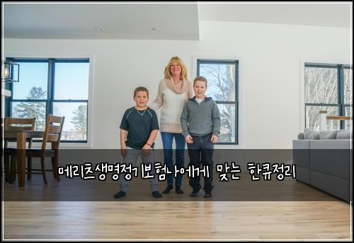 메리츠생명정기보험나에게 맞는 한큐정리