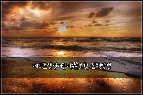 메리츠생명어린이실손보험 진행방법 
