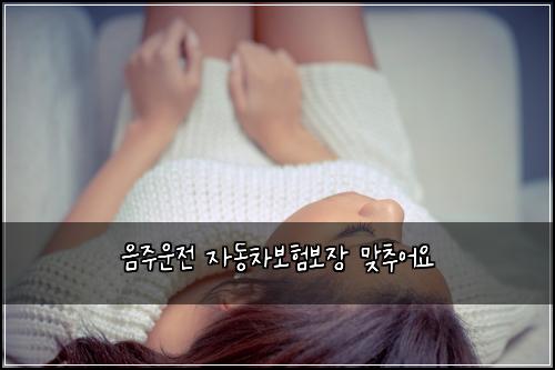 음주운전 자동차보험보장 맞추어요