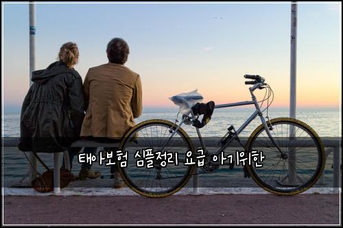 태아보험 심플정리  요급 아기위한