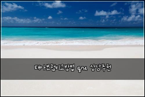 ํ์๋ณดํ๋น๊ต๋ฐฉ๋ฒ qna ์๋ด์ถ์ฒ