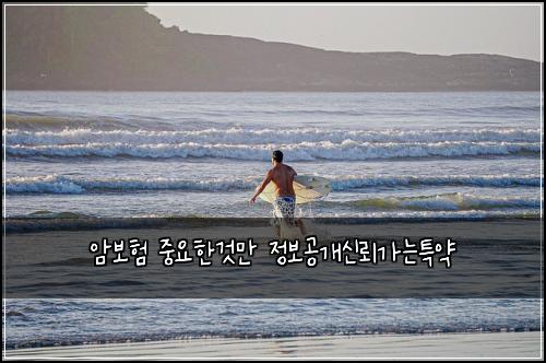 ์๋ณดํ ์ค์ํ๊ฒ๋ง ์ ๋ณด๊ณต๊ฐ์ ๋ขฐ๊ฐ๋ํน์ฝ