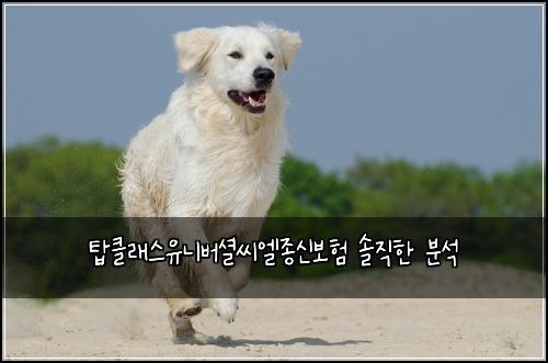 탑클래스유니버셜씨엘종신보험 솔직한 분석