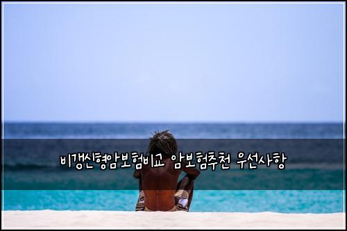 비갱신형암보험비교 암보험추천 우선사항
