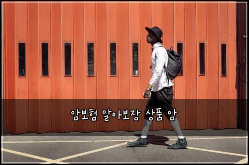 암보험 알아보장  상품 암