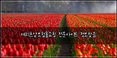 메리츠암보험홈쇼핑 전문사이트 정보찾음
