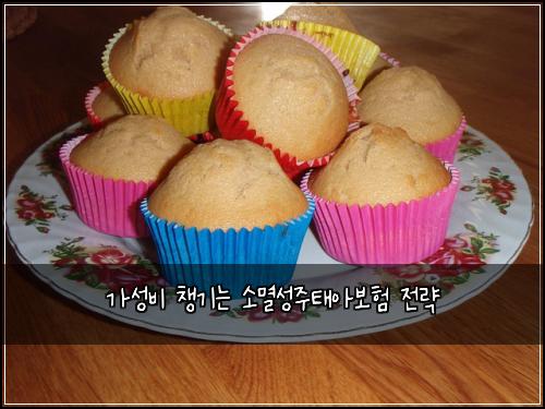 가성비 챙기는 소멸성주태아보험 전략