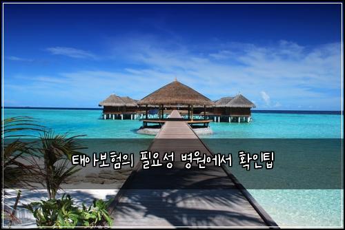 태아보험의 필요성 병원에서 확인팁