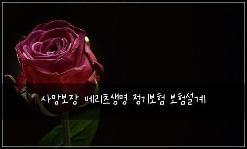 ์ฌ๋ง๋ณด์ฅ ๋ฉ๋ฆฌ์ธ ์๋ช
์ ๊ธฐ๋ณดํ ๋ณดํ์ค๊ณ