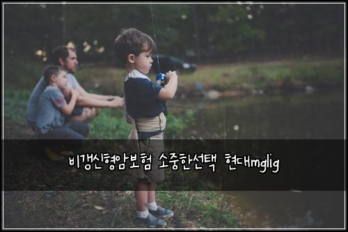 비갱신형암보험 소중한선택  현대mglig