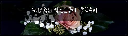 실비보험의 암진단금이 깔끔준비