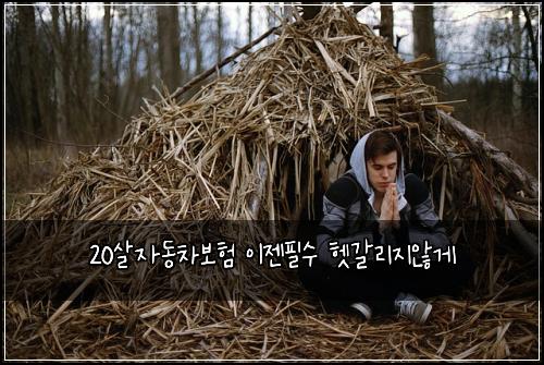 20살자동차보험 이젠필수  헷갈리지않게