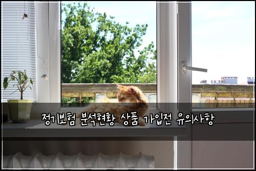 정기보험 분석현황  상품 가입전 유의사항