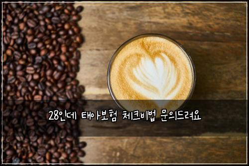 28์ธ๋ฐ ํ์๋ณดํ ์ฒดํฌ๋น๋ฒ ๋ฌธ์๋๋ ค์
