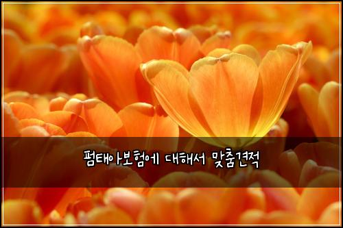 펌태아보험에 대해서 맞춤견적